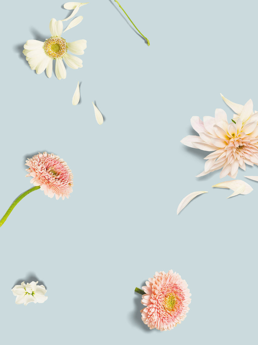 Hopeless Romantic T-shirt Dress Dames