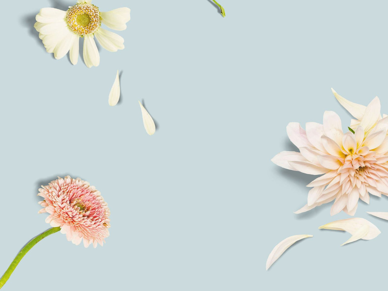 Hopeless Romantic Print