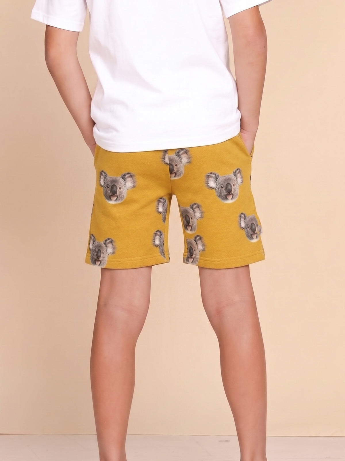 Koala Shorts Kids