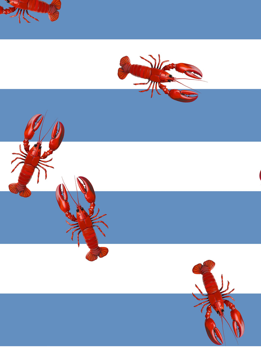 Lobsters Cropped T-shirt en Wijde broek set Kids