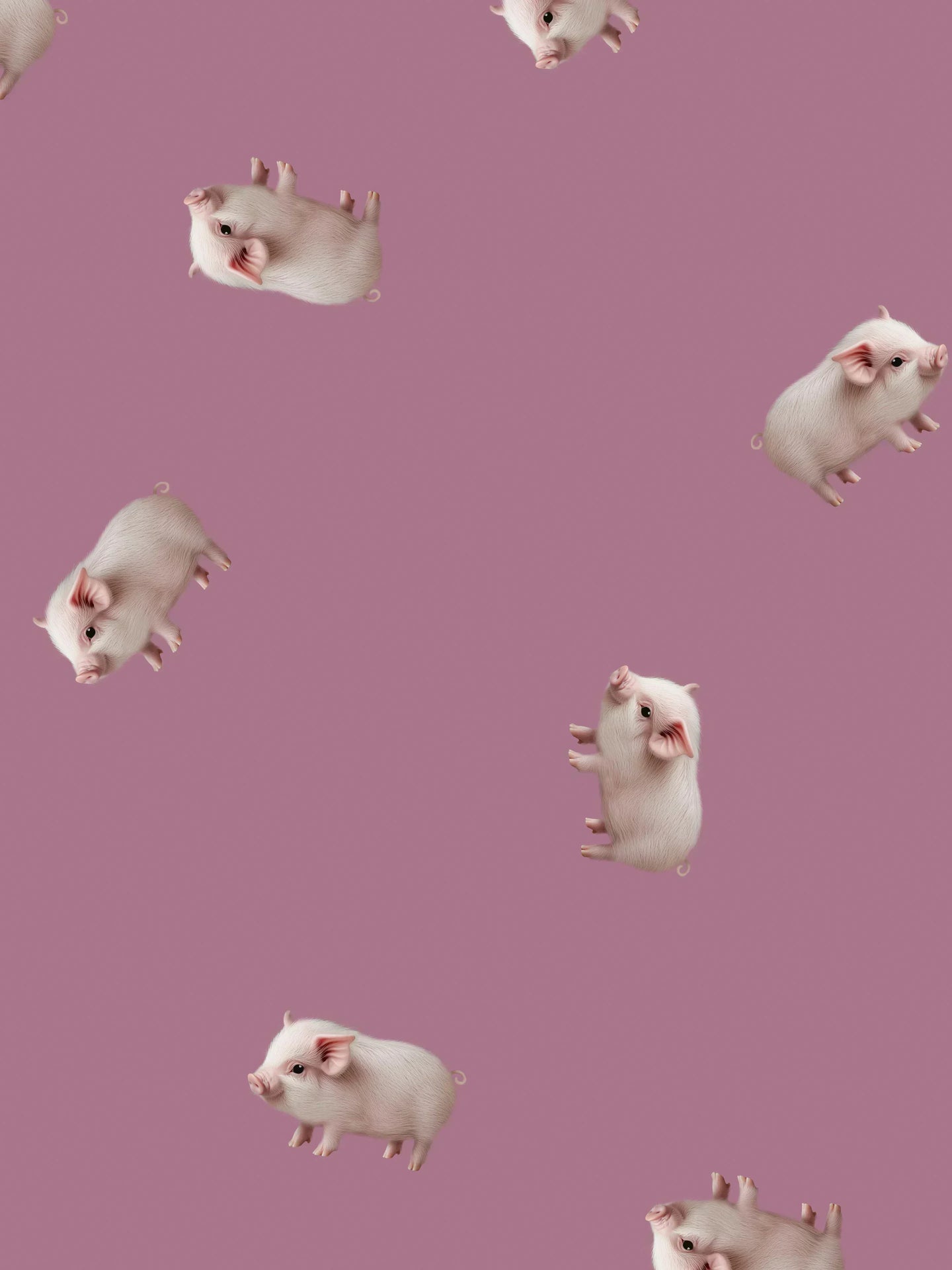 Oink Oink Pig Print