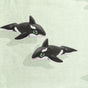 Orca Green