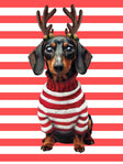 Pierre the Dachshund XMAS Print - SNURK