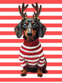 Pierre the Dachshund XMAS Print - SNURK