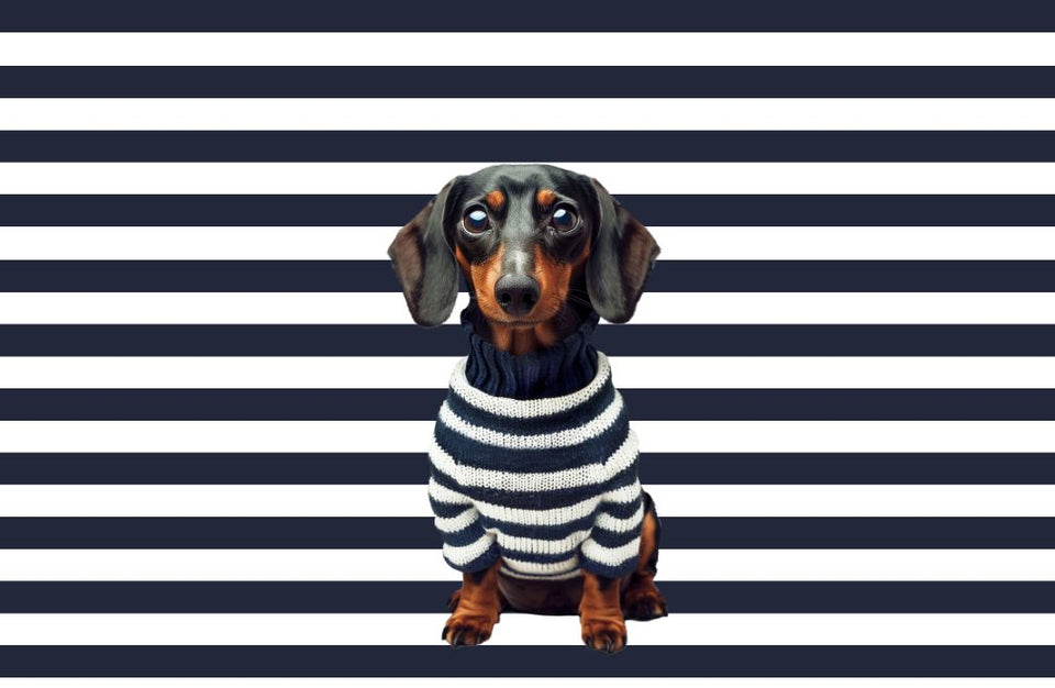 Pierre the Dachshund Print - SNURK