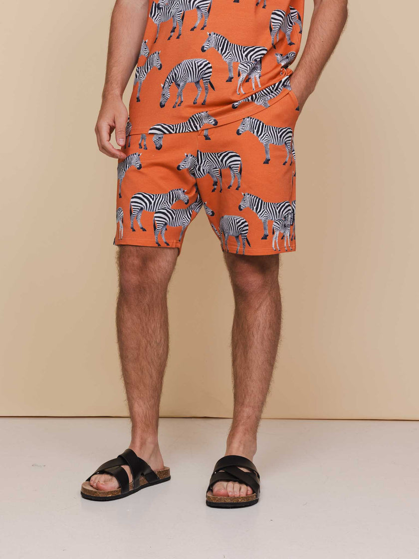 Zebras Shorts Men