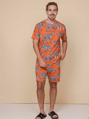 Zebras T-shirt and Shorts set Men