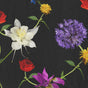 Bouquet Black
