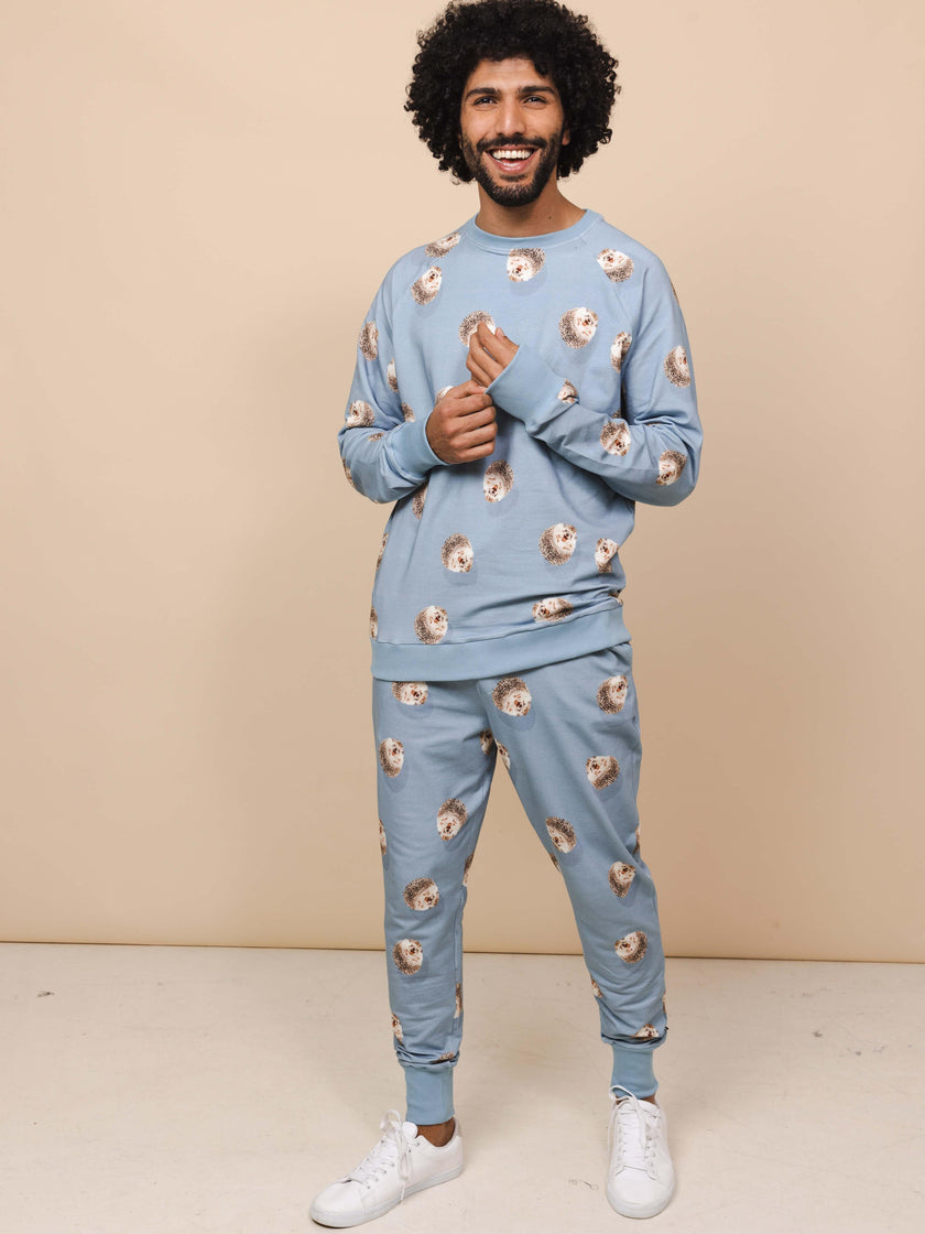 Hedgy Blue Sweater and Pants set Men