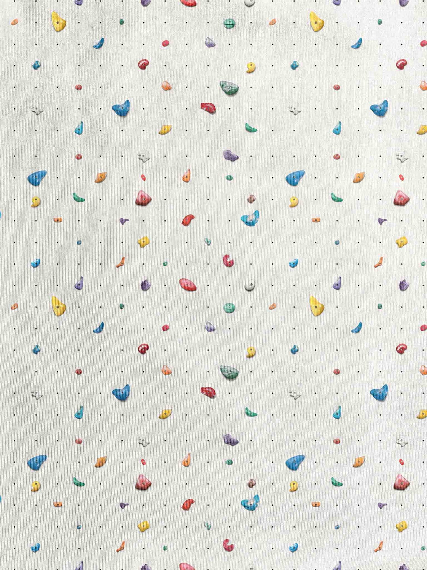 The Climber Pants Regular