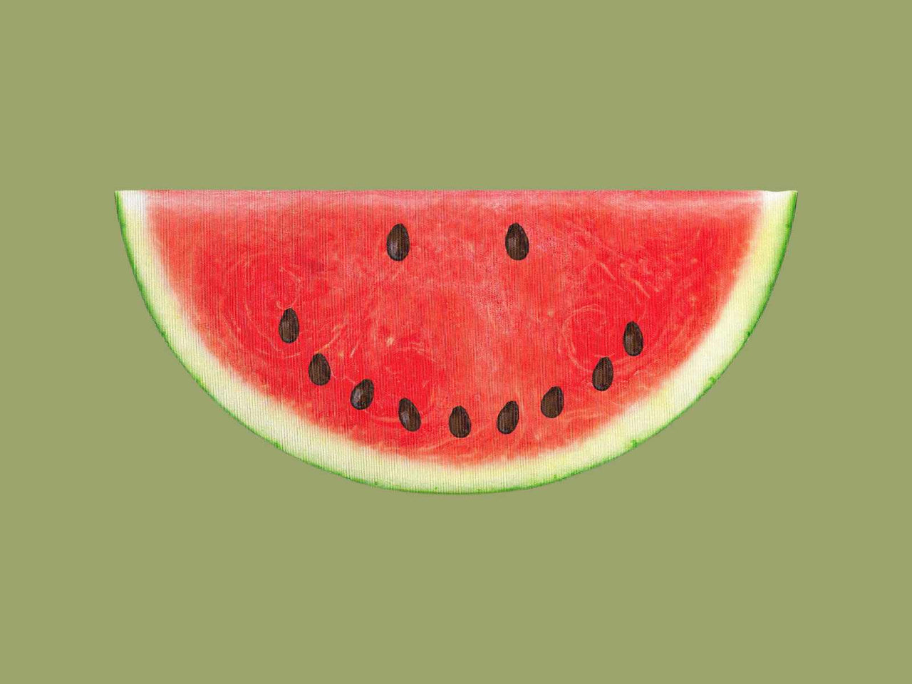 Watermelon Print SS25 - SNURK