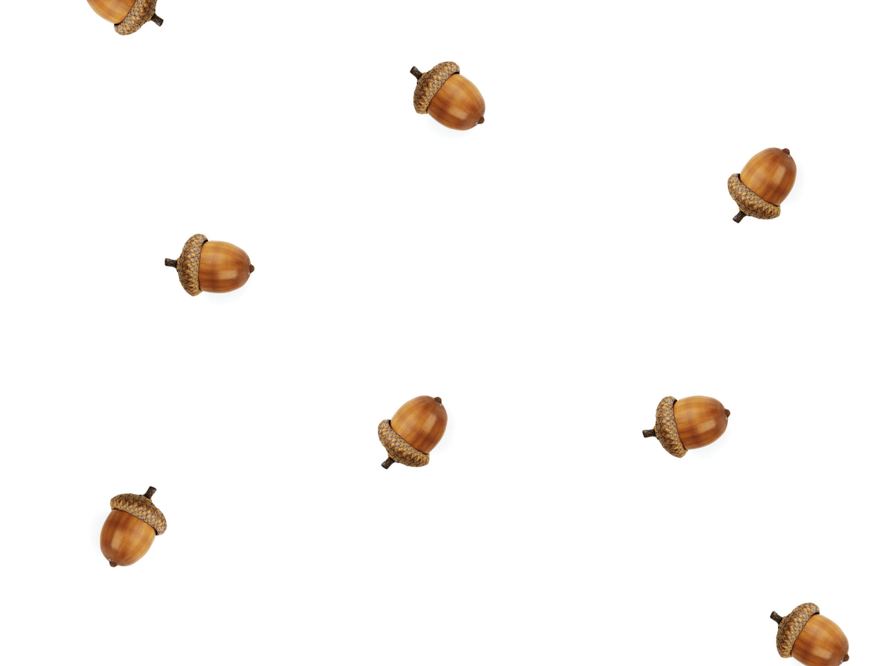 Winternuts