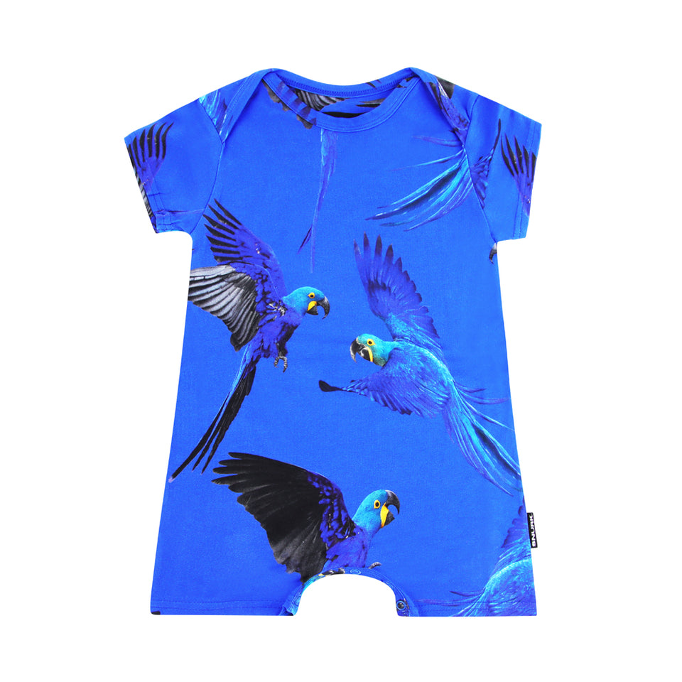 Blue Parrot Boxpakje Baby