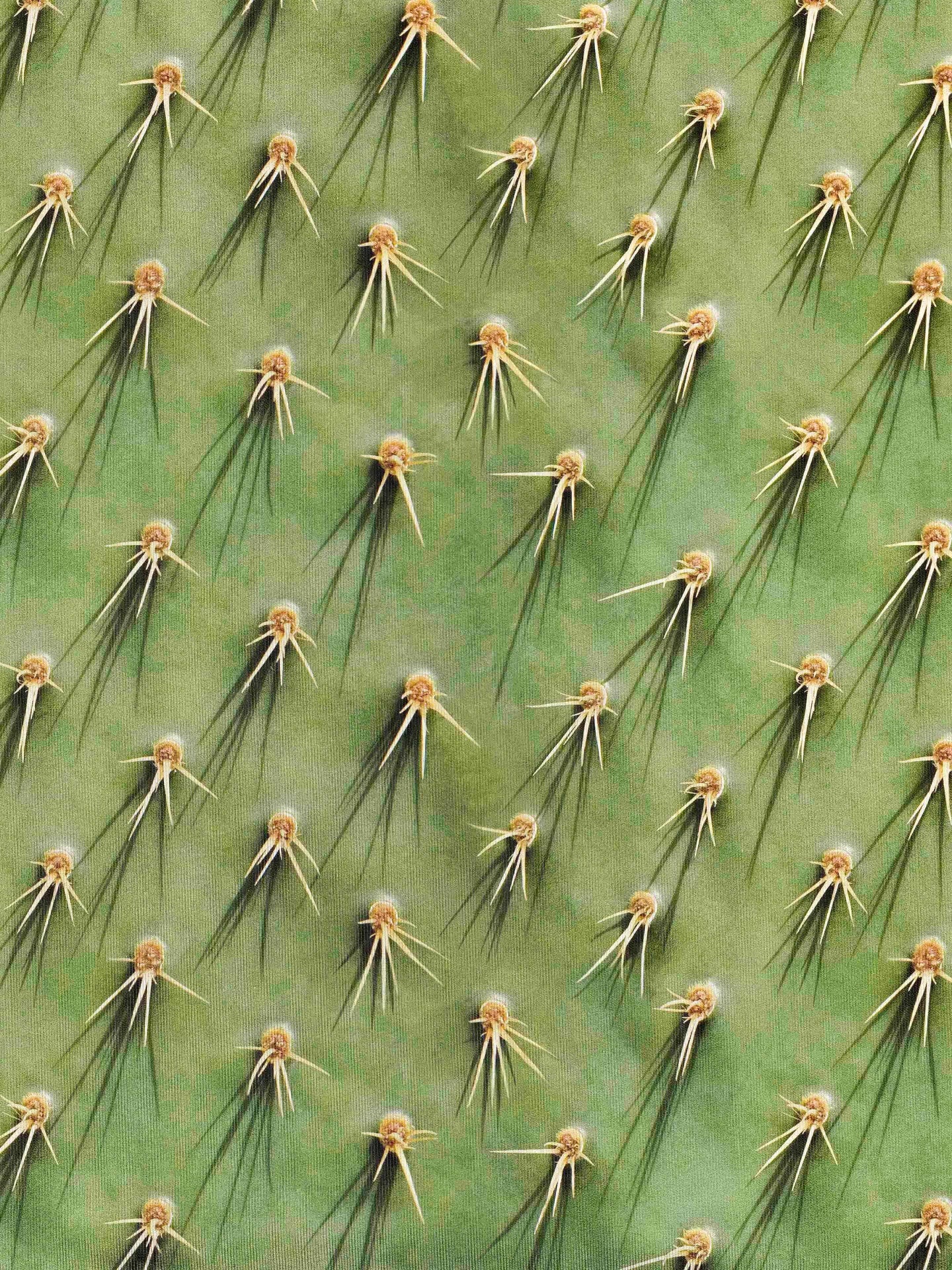 Cozy Cactus Jurkje korte mouwen Dames - SNURK