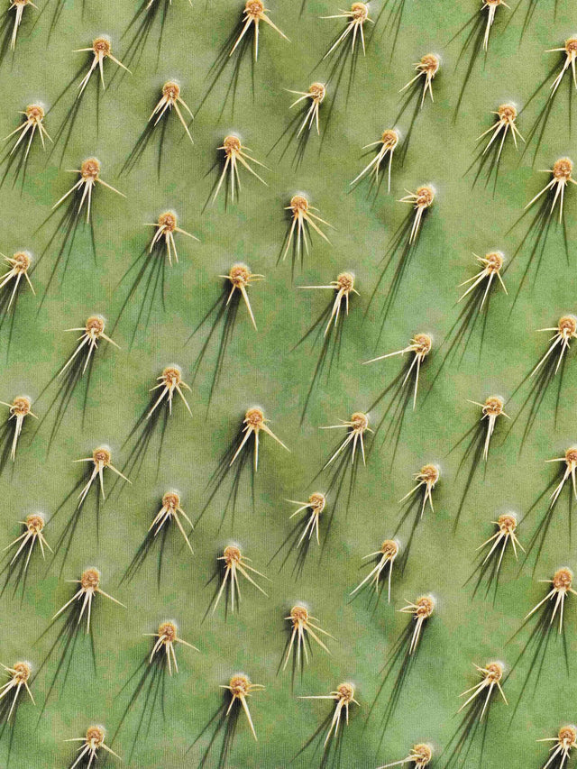 Cozy Cactus Jurkje korte mouwen Dames - SNURK