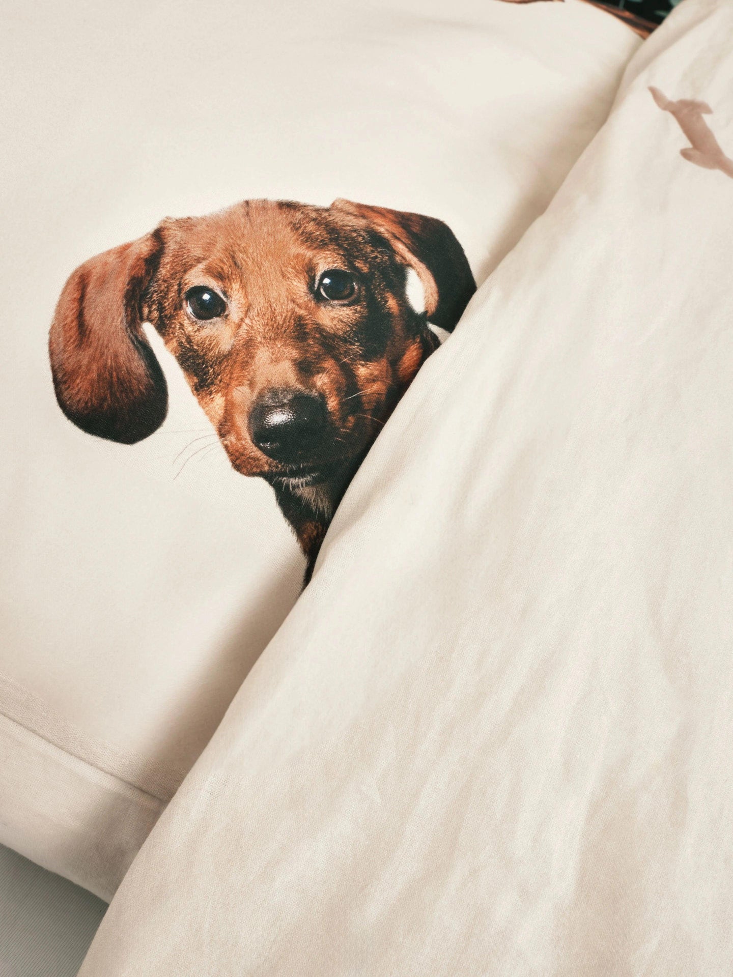 Dachshund bedding shop set
