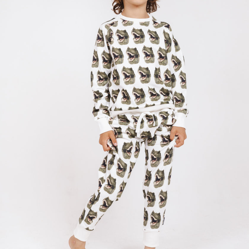 Dino sweater and pants for kids