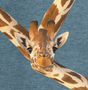 Giraffe Blue