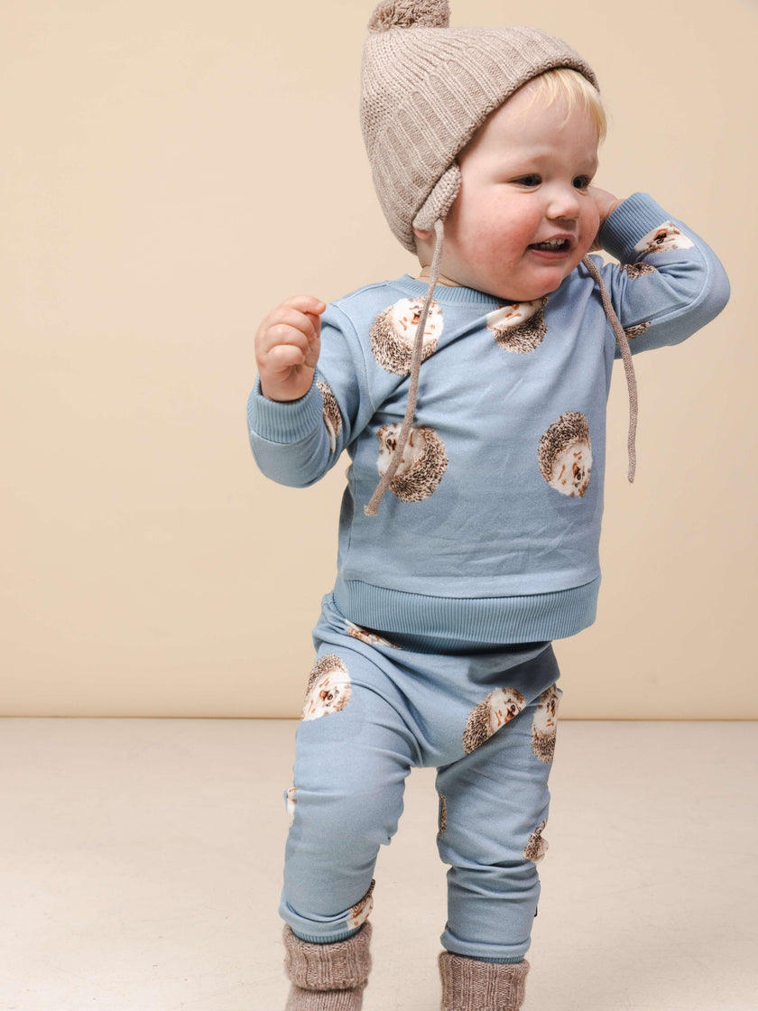 Hedgy Blue Sweater and Pants set Baby