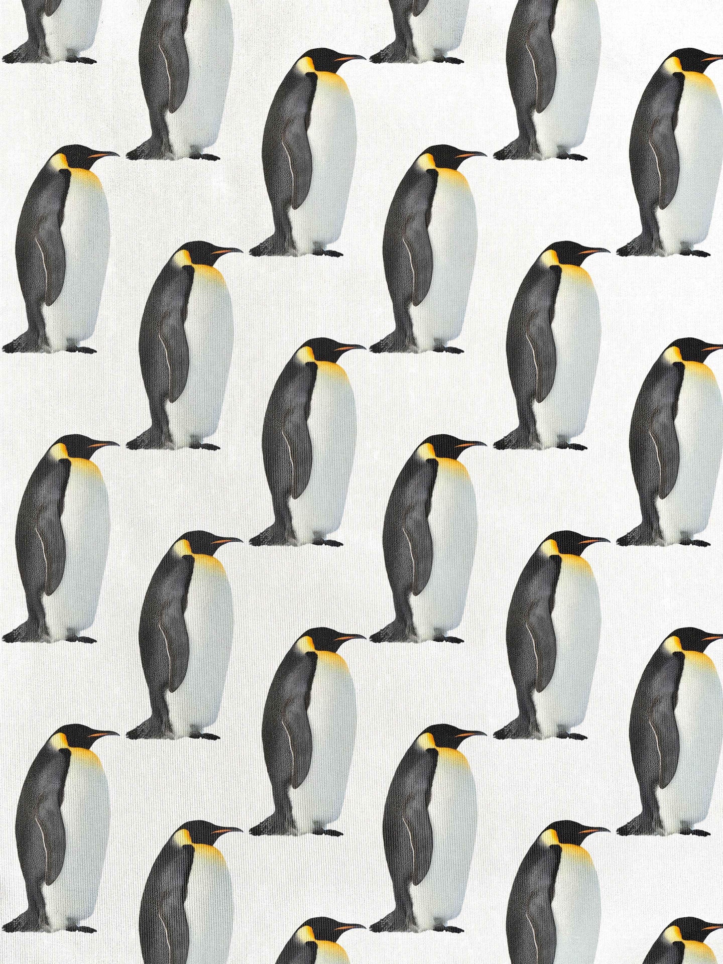 Penguin Broek Dames - SNURK