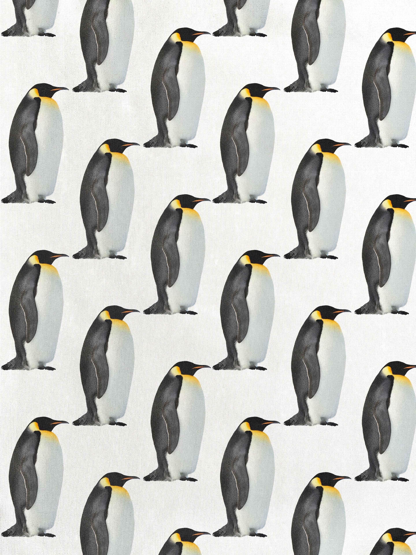 Penguin Legging Kinderen - SNURK