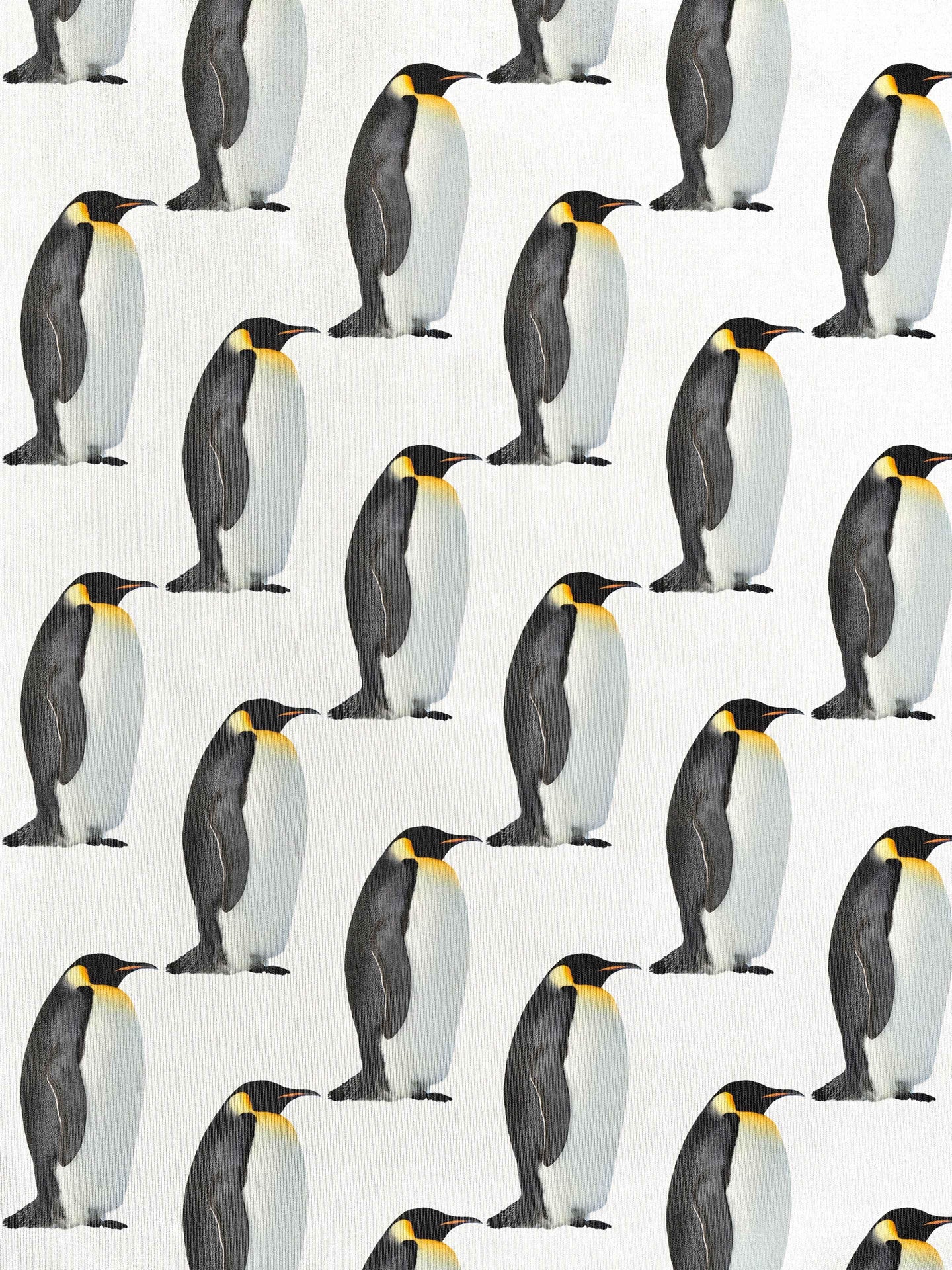 Penguin T-shirt lange mouwen Dames - SNURK