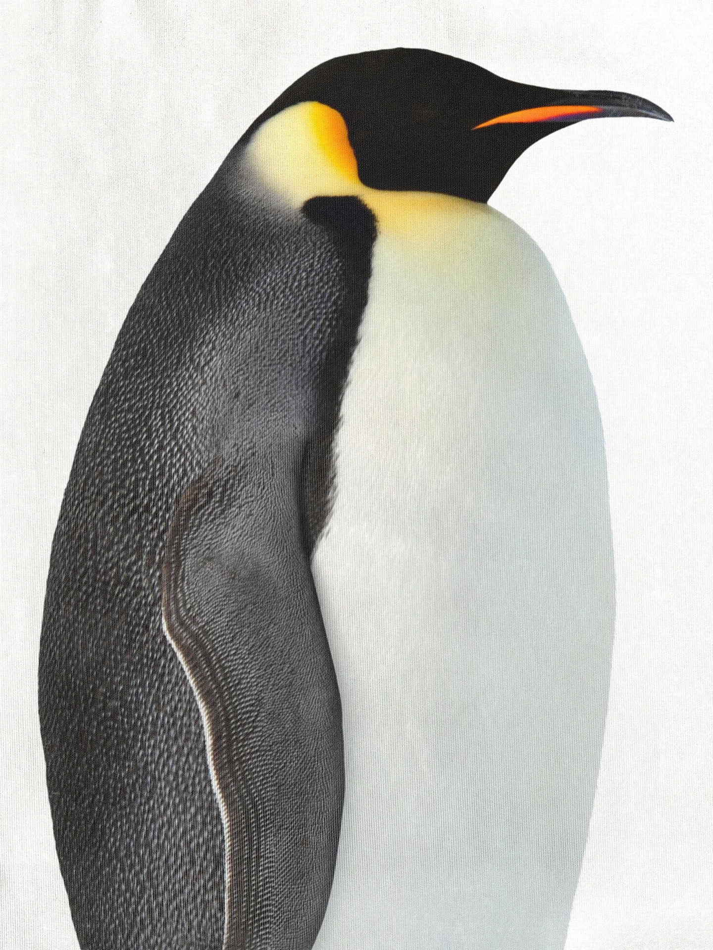 Penguin Trui Dames - SNURK