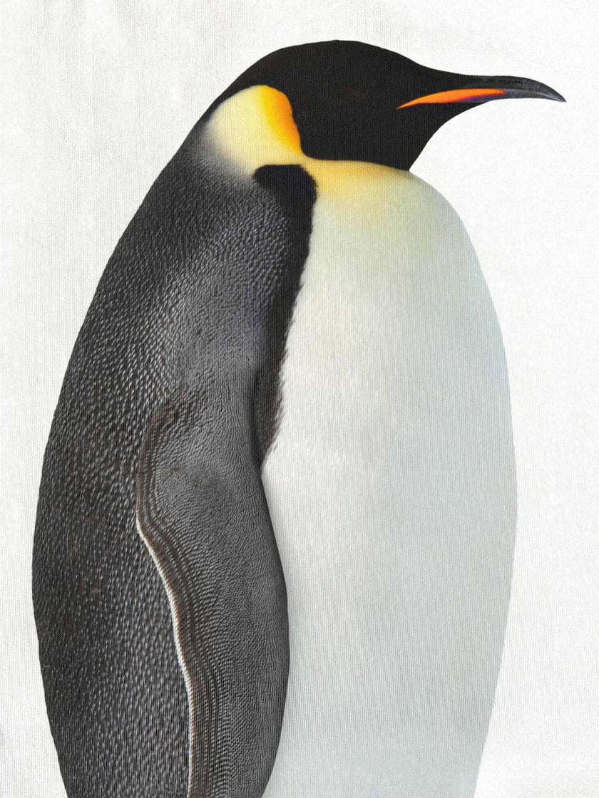 Penguin Trui Kinderen